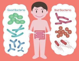 live microorganisms