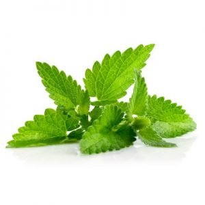 peppermint for gingivitis